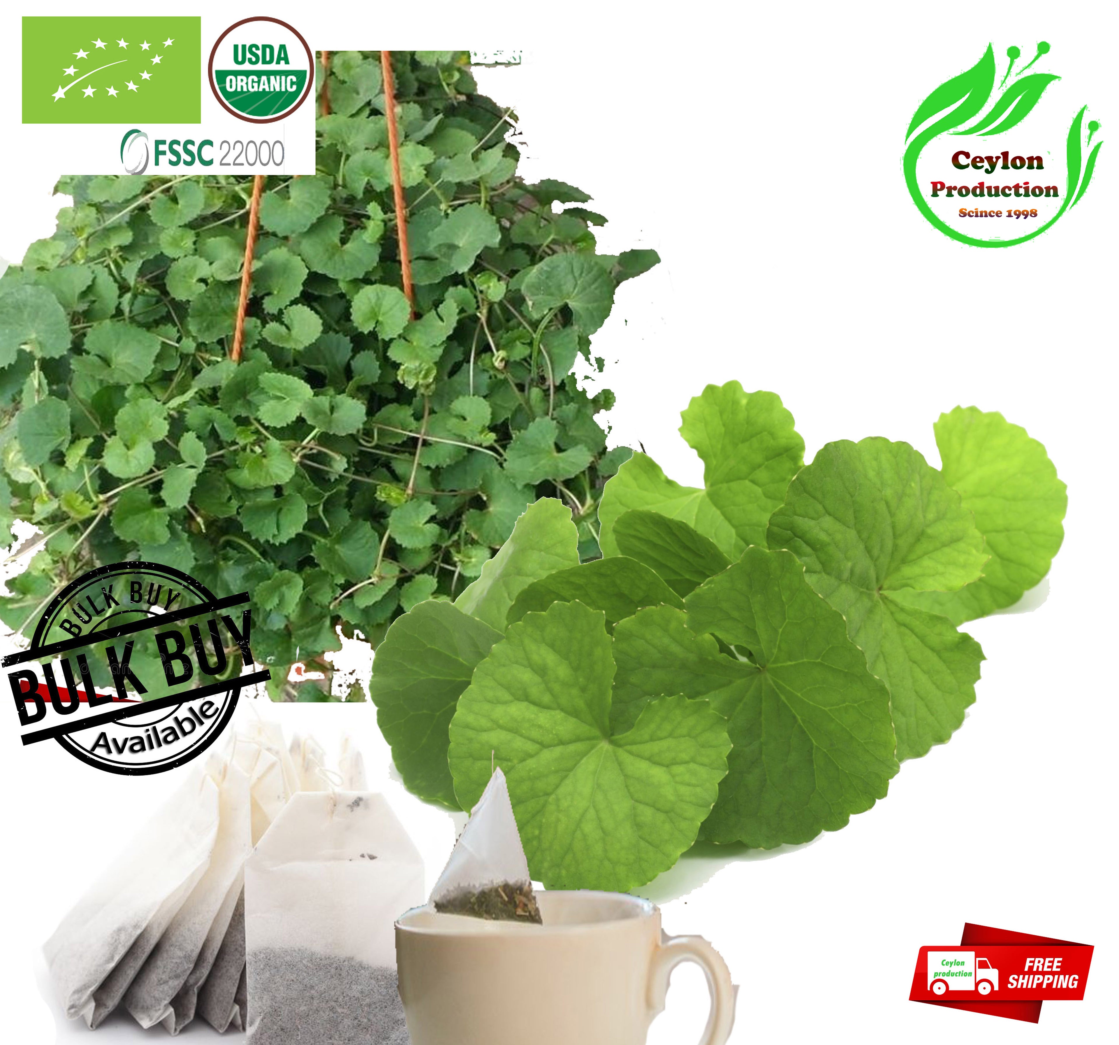 Centrella Asiatica Leaves Tea Bags Organic Herbal Product (Gotukola)Pure Natural