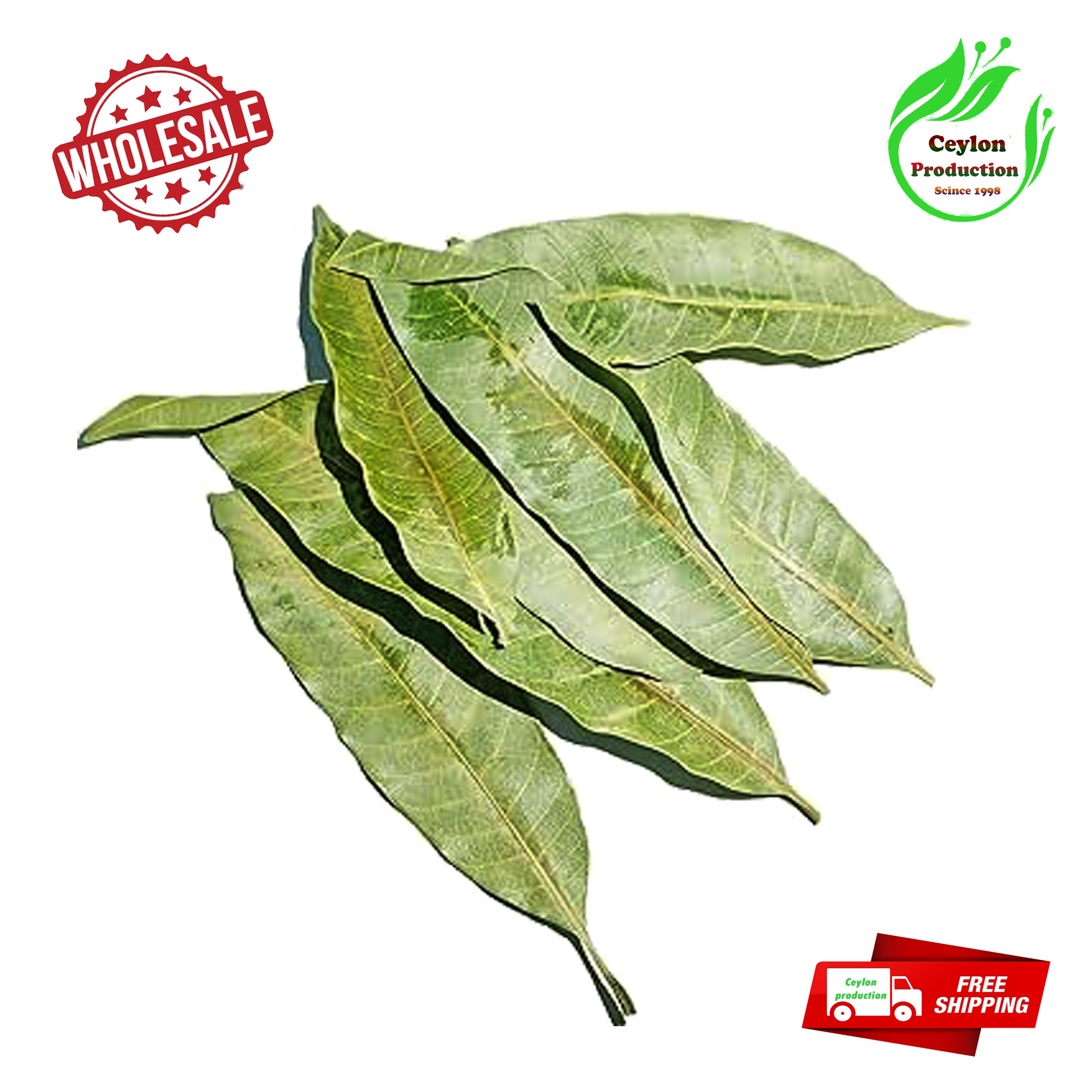 Dried mango Leaves whole pure natural Organic Help to Reduce Blood Sugar Balance(Mangifera indica)