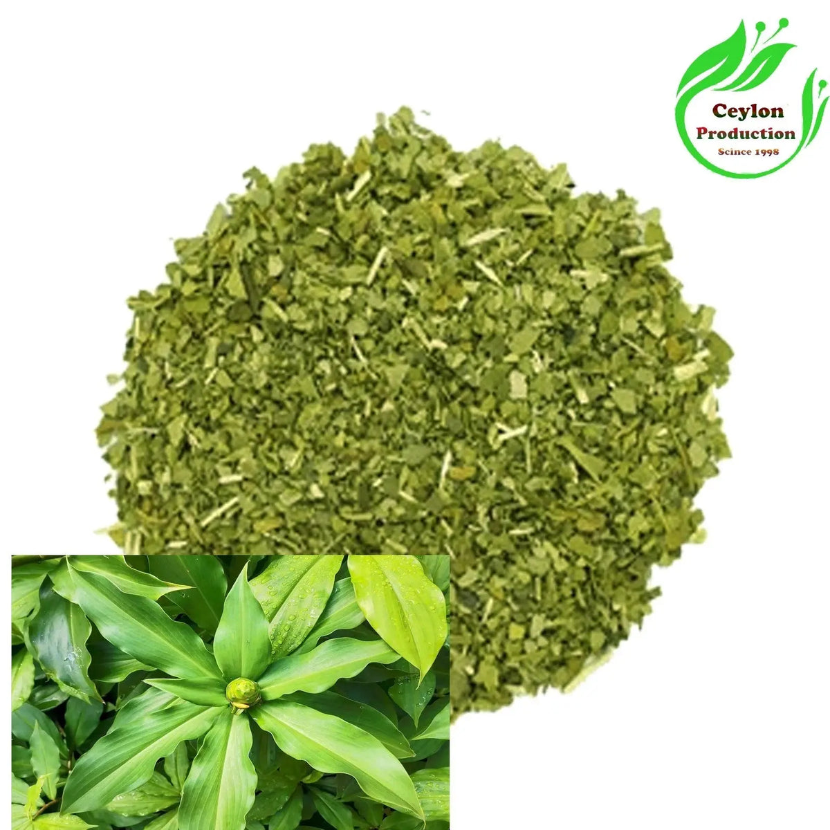 Organic Insulin Plant Leaves Tea Cut 1-2mm Herbal Dried Natural Tea Wellness