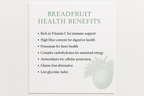 breadfruit health benifit in letter