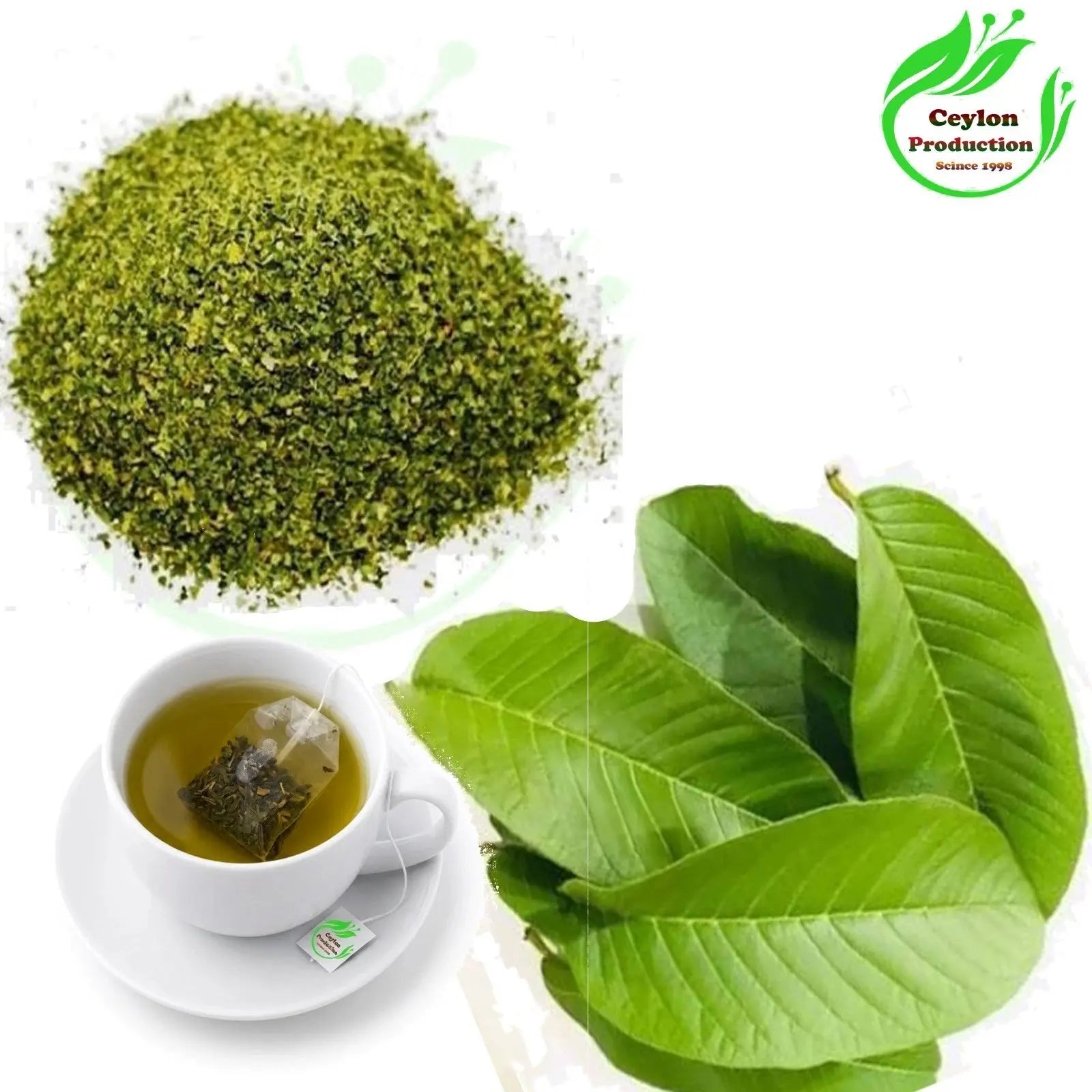 Guava Leaves Tea Bags Dried Organic Psidium guajava Guayabo common guava