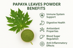 papaya leaves powder health benifit