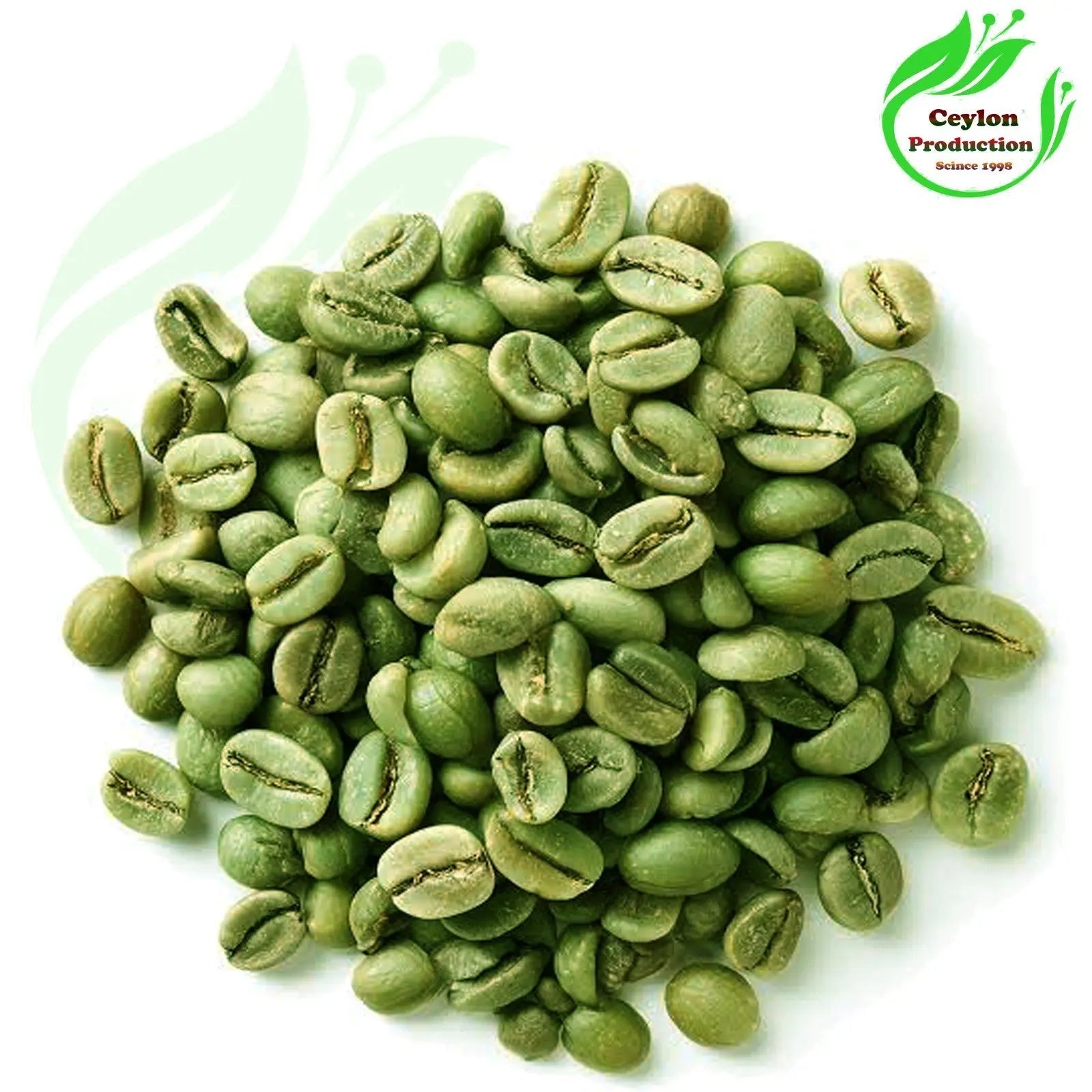 Dried Organic Green Coffee Beans whole Raw Unroasted Coffee pure Coffea arabica